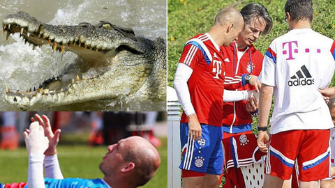 Sau giờ bóng lăn 18/1: Robben suýt mất tay vì… cá sấu Sau giờ bóng lăn 18/1: Robben suýt mất tay vì… cá sấu