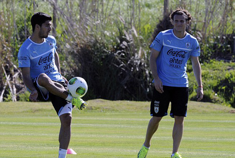 [Image: suarez1.jpg]