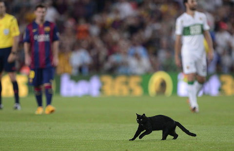 Barca đón "vị khách không mời" trong trận mở màn chiến dịch 2014/15 Barca đón "vị khách không mời" trong trận mở màn chiến dịch 2014/15