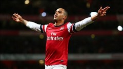 Walcott hoãn ngày tái xuất sân cỏ tới giữa tháng 10 Walcott hoãn ngày tái xuất sân cỏ tới giữa tháng 10