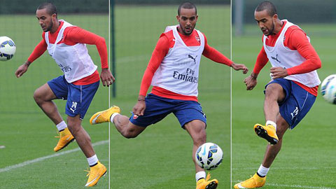 Walcott sắp tái xuất sau 9 tháng dưỡng thương Walcott sắp tái xuất sau 9 tháng dưỡng thương