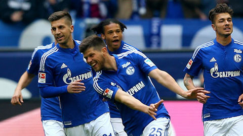 20h30 ngày 16/5: Schalke vs Paderborn