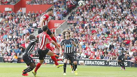 19h30 ngày 09/08: Newcastle vs Southampton: Bắn hạ Chích chòe