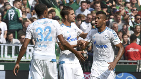 Chiến thắng đậm 3-0 trước Bremen của Schalke đã phải trả giá đắt bởi chấn thương của Nostasic (ảnh trong bài)