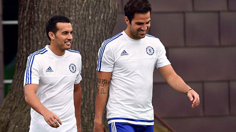 Pedro đã trở thành thành viên của Chelsea